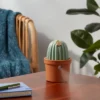 Cactus Ultrasonic Diffuser Green - Opalhouse™